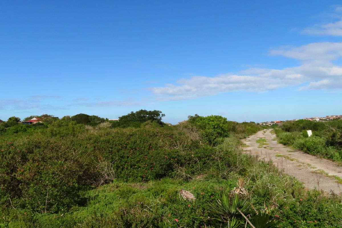 Well Priced Plot For Sale In Port Alfred - Photo 2