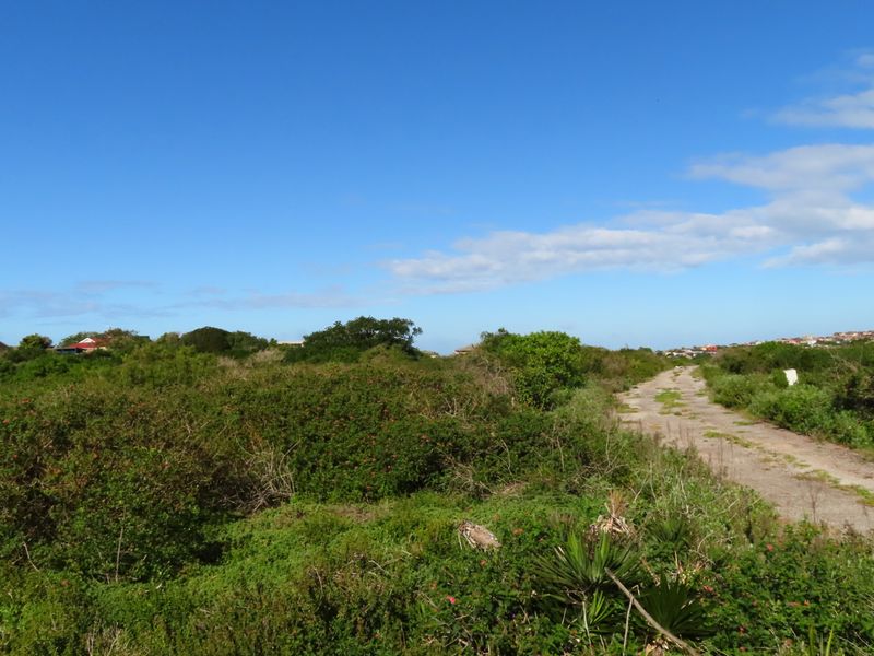 Well Priced Plot For Sale In Port Alfred - Photo 2