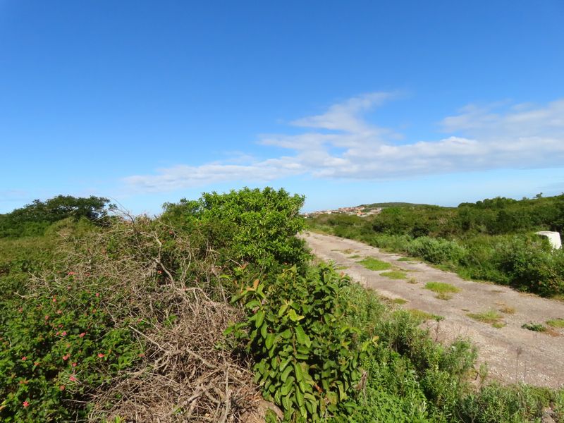 Well Priced Plot For Sale In Port Alfred - Photo 6