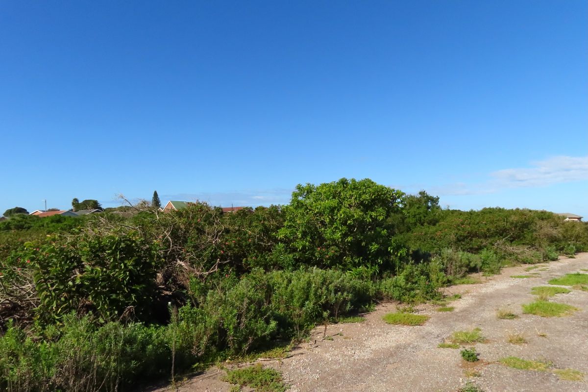 Well Priced Plot For Sale In Port Alfred - Photo 5