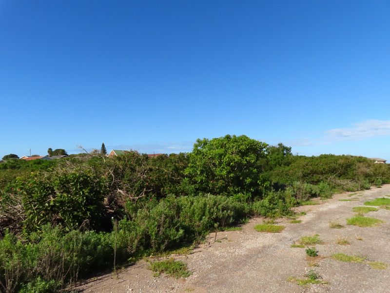 Well Priced Plot For Sale In Port Alfred - Photo 5