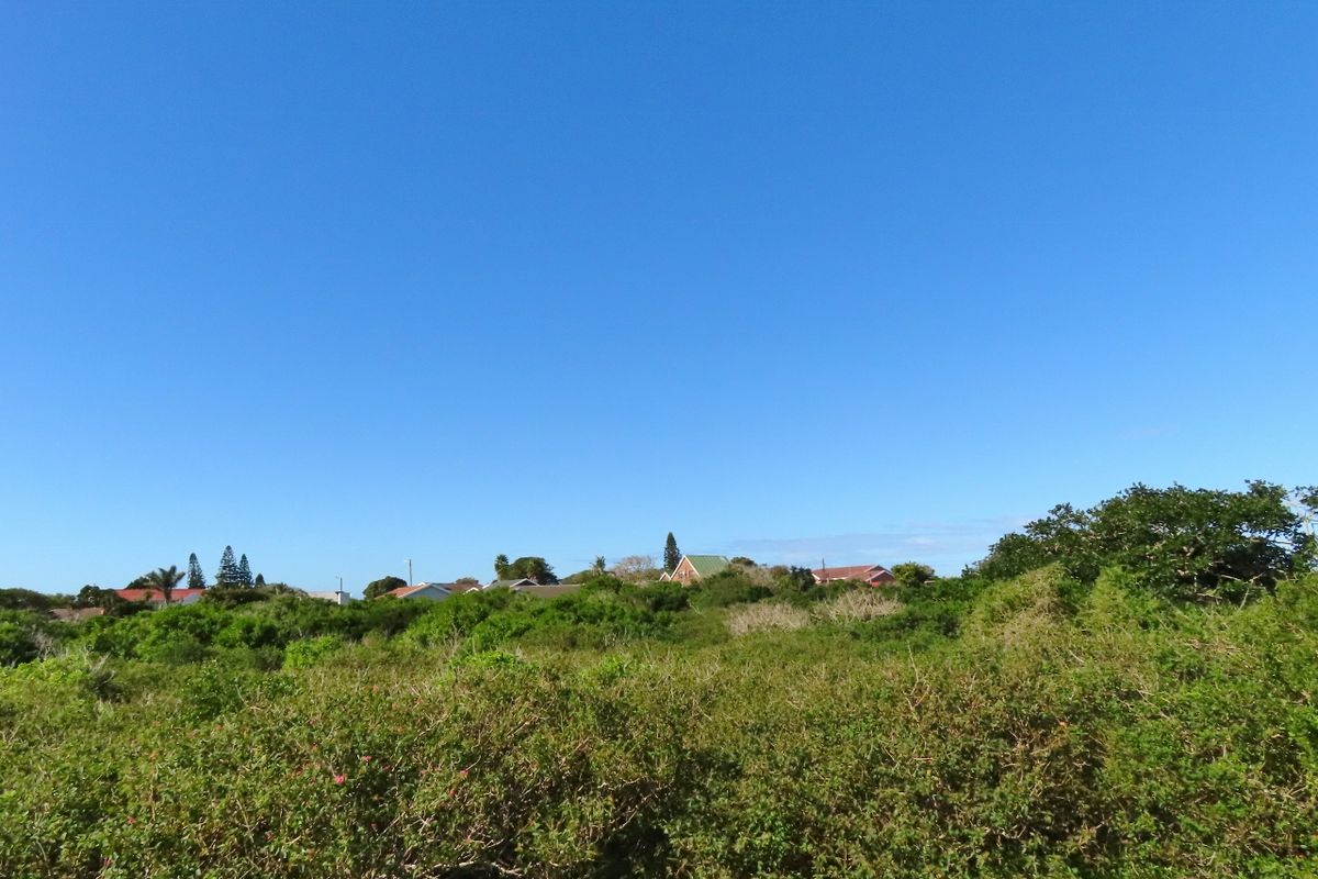 A view of the surrounding landscape featuring dense native vegetation and distant residential properties under a clear blue sky.
