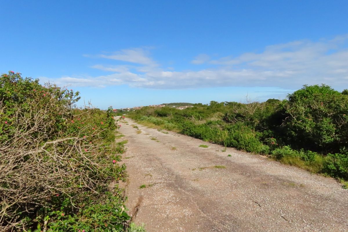 A view of an unpaved access road surrounded by native coastal vegetation on a vacant residential plot.
