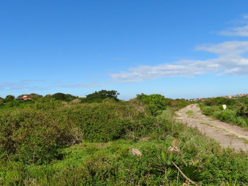 Well Priced Plot For Sale In Port Alfred - Photo 10