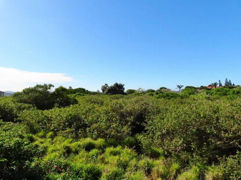 Well Priced Plot For Sale In Port Alfred - Photo 8