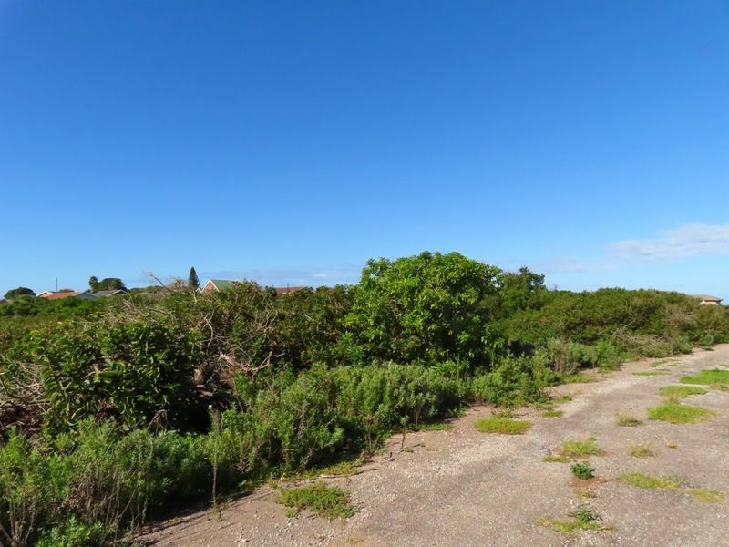 Well Priced Plot For Sale In Port Alfred - Photo 7