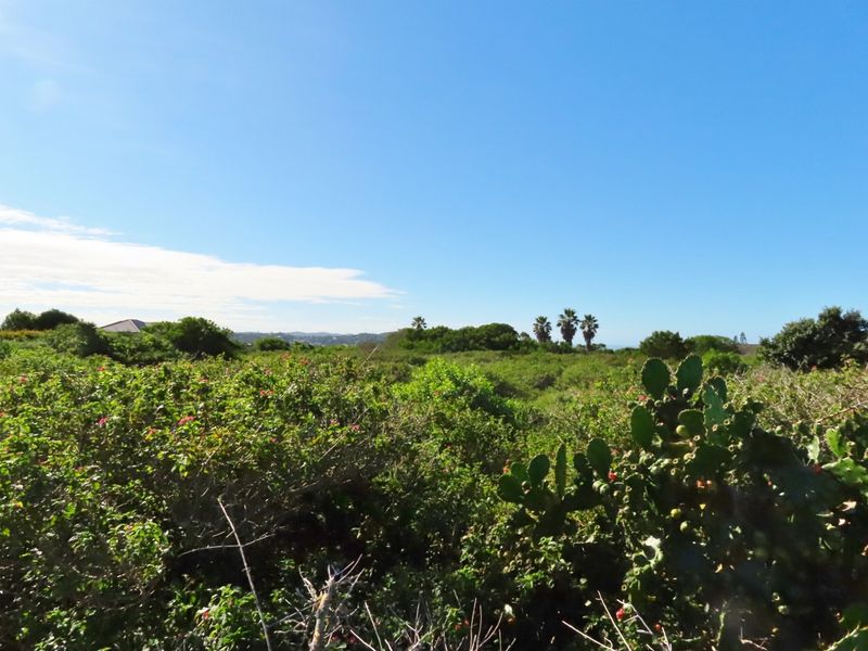 Well Priced Plot For Sale In Port Alfred - Photo 6