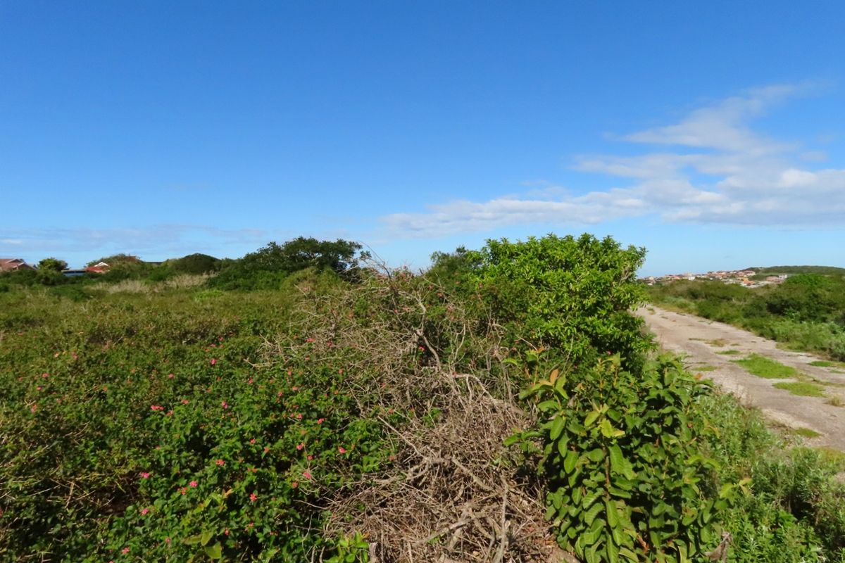 A view of an undeveloped residential plot featuring native vegetation and natural landscape.