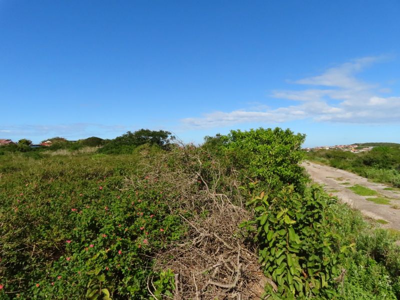 Well Priced Plot For Sale In Port Alfred - Photo 4