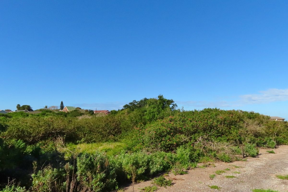 A view of a vacant residential plot featuring natural vegetation and a dirt access path under a clear blue sky.