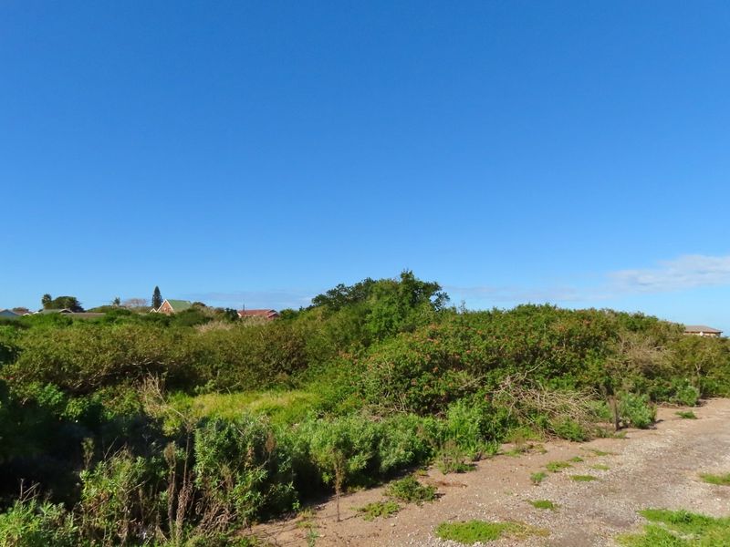 Well Priced Plot For Sale In Port Alfred - Photo 5