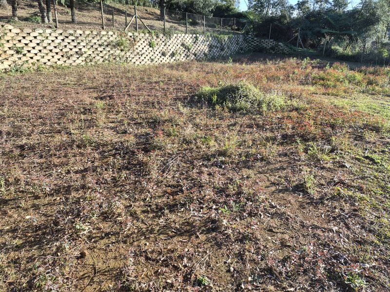 Land for Sale in the Popular Milnerdale Complex - Photo 2