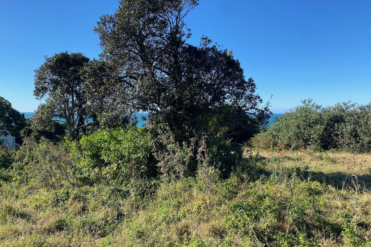 Guaranteed Sea View Plot in Cintsa East - Photo 3