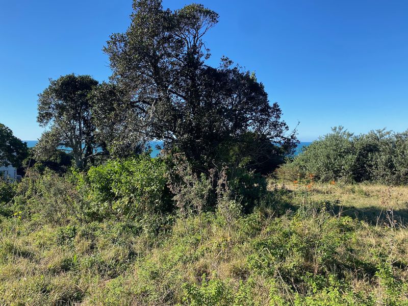 Guaranteed Sea View Plot in Cintsa East - Photo 3