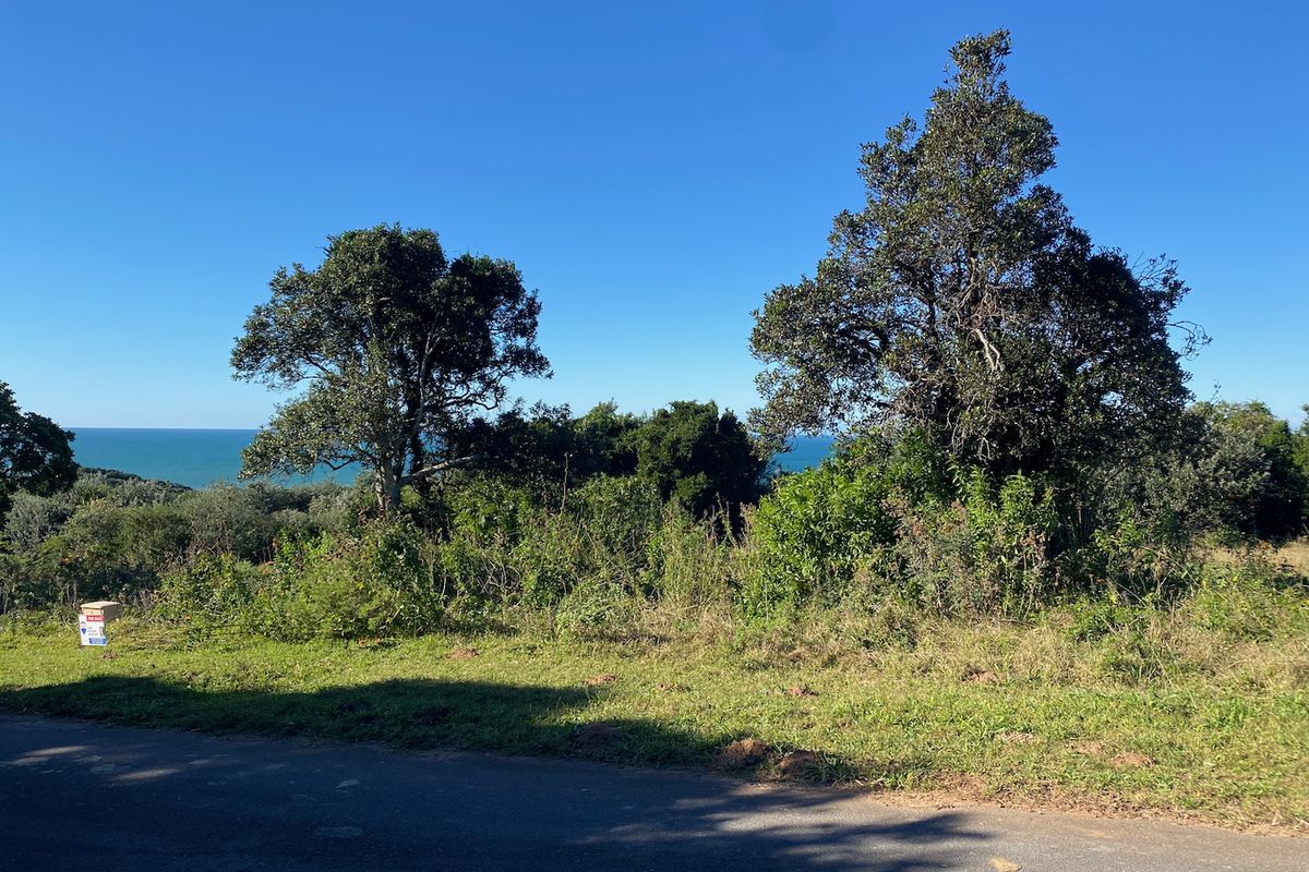 Guaranteed Sea View Plot in Cintsa East - Photo 4