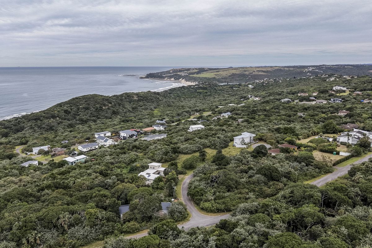 An aerial view of a coastal residential area featuring lush native vegetation, paved roads, and proximity to the ocean.
