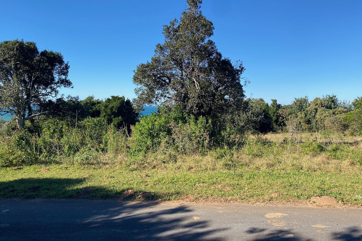 Guaranteed Sea View Plot in Cintsa East - Photo 5