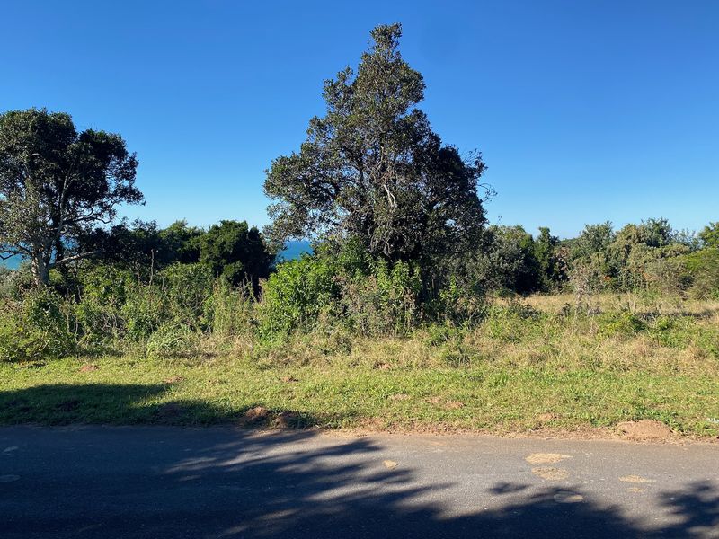 Guaranteed Sea View Plot in Cintsa East - Photo 5
