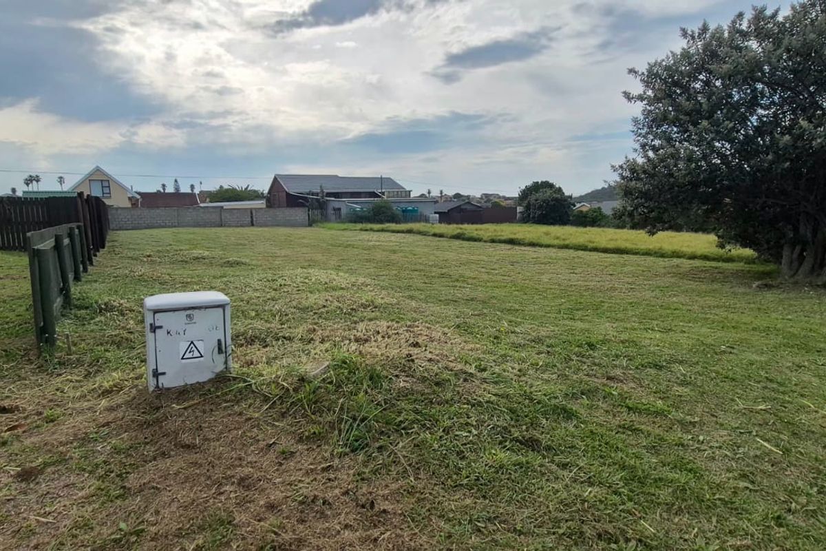 Land For Sale - Photo 5