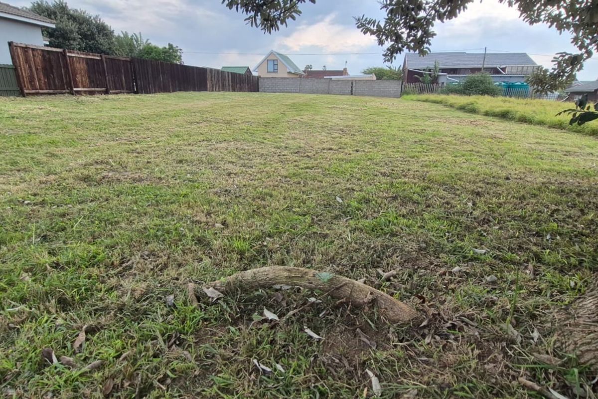 Land For Sale - Photo 4