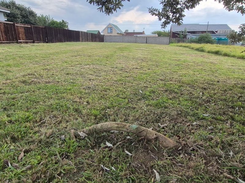 Land For Sale - Photo 4