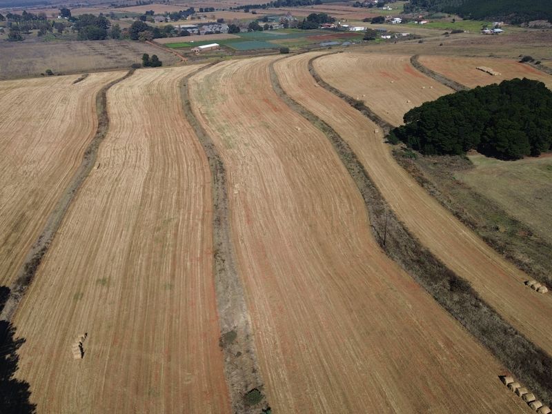Escape to the Countryside – Prime Sectional Title Land Available - Photo 4