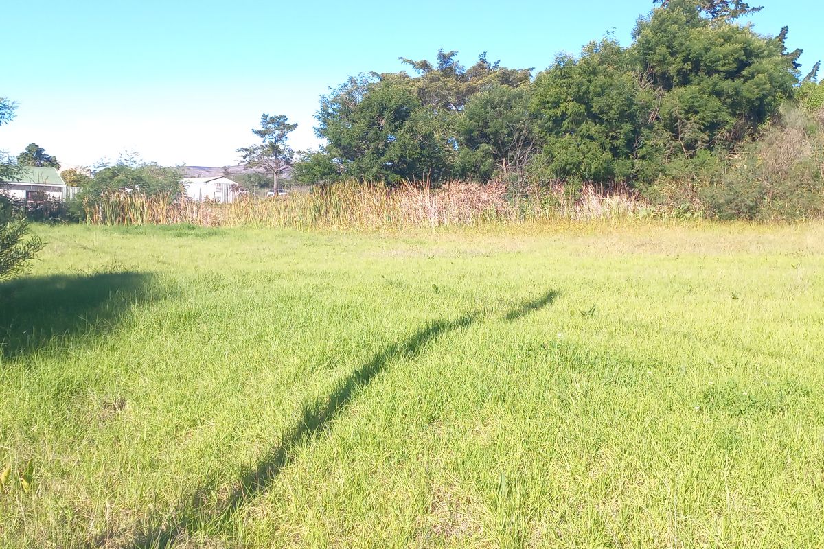 A view of a vacant residential plot featuring open grassy land with established trees and vegetation along the perimeter.