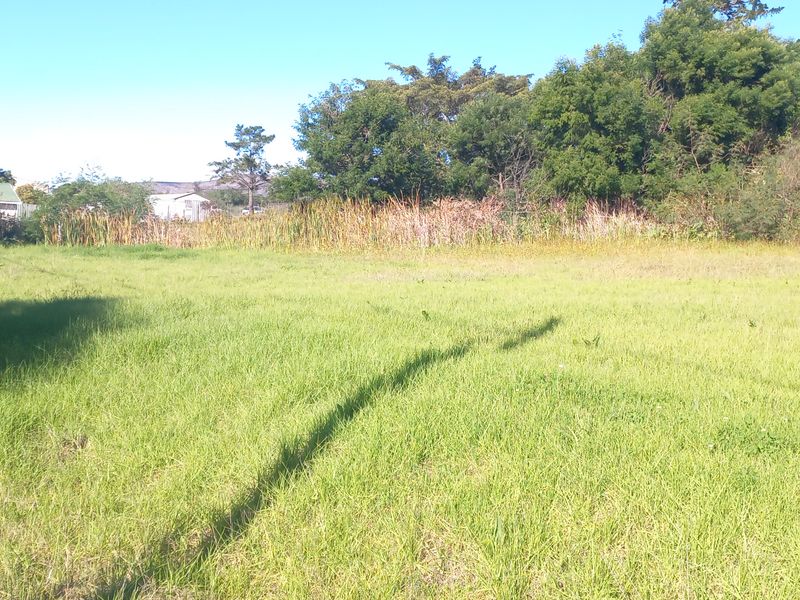 A view of a vacant residential plot featuring open grassy land with established trees and vegetation along the perimeter.