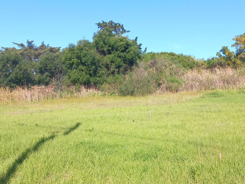 A view of a vacant residential plot featuring open grassy areas and established trees along the perimeter.