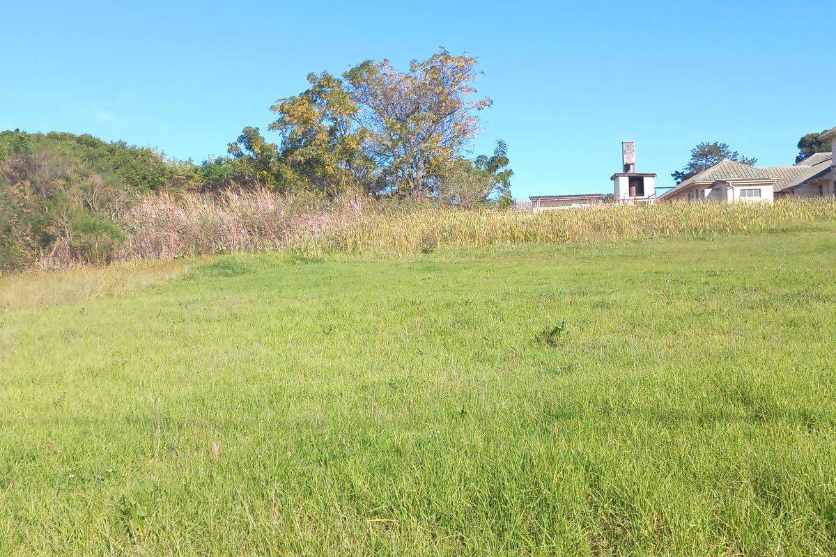 A view of a large, open grassy plot of land with mature trees and neighbouring residential structures in the background.