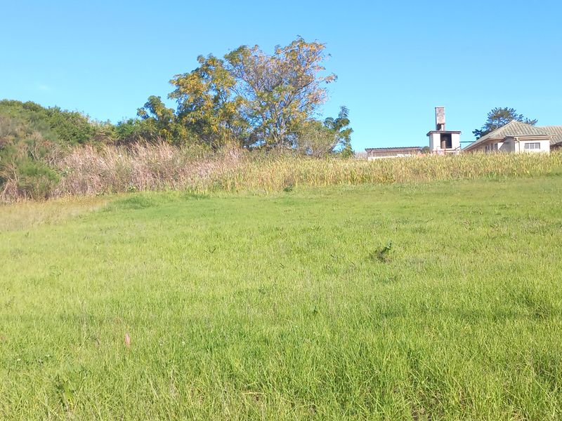 A view of a large, open grassy plot of land with mature trees and neighbouring residential structures in the background.