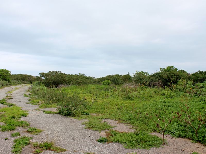 Build with Ease on This Level Plot in Port Alfred - Photo 10
