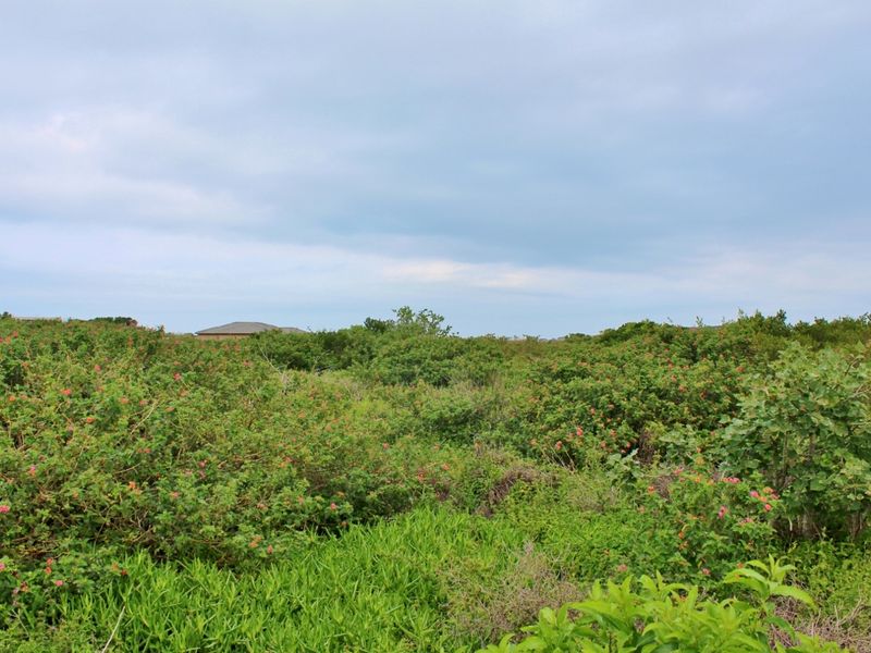 Build with Ease on This Level Plot in Port Alfred - Photo 9