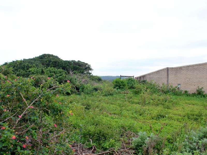 Build with Ease on This Level Plot in Port Alfred - Photo 7