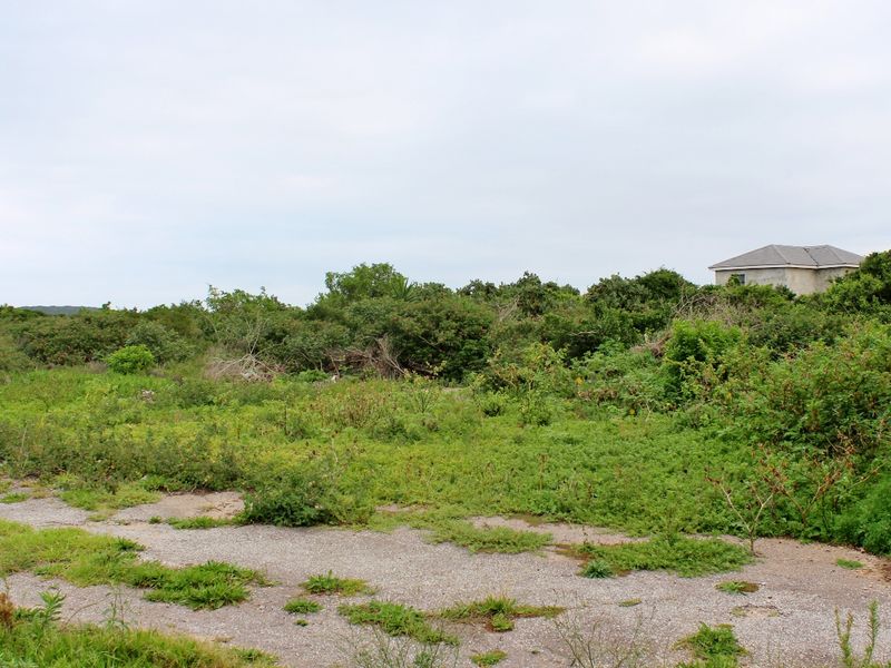 Build with Ease on This Level Plot in Port Alfred - Photo 8