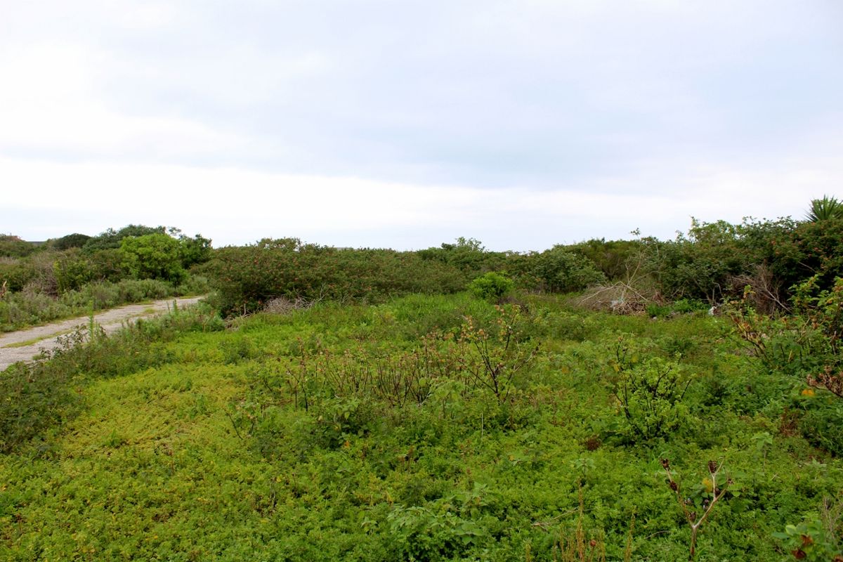 Build with Ease on This Level Plot in Port Alfred - Photo 4