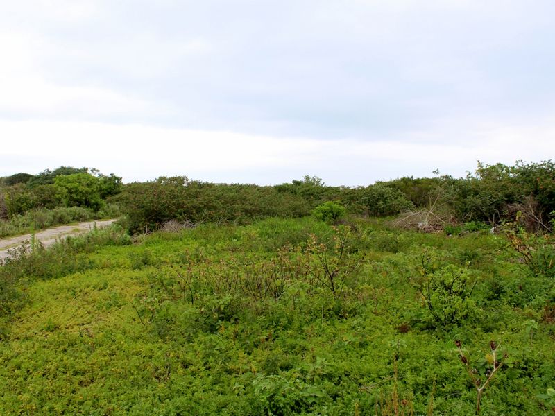 Build with Ease on This Level Plot in Port Alfred - Photo 4