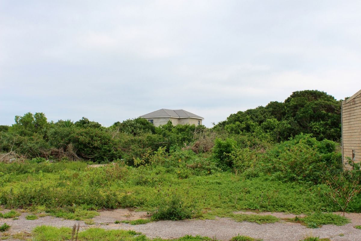 Build with Ease on This Level Plot in Port Alfred - Photo 3