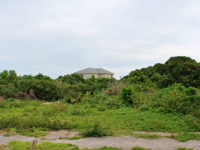 Build with Ease on This Level Plot in Port Alfred - Photo 3