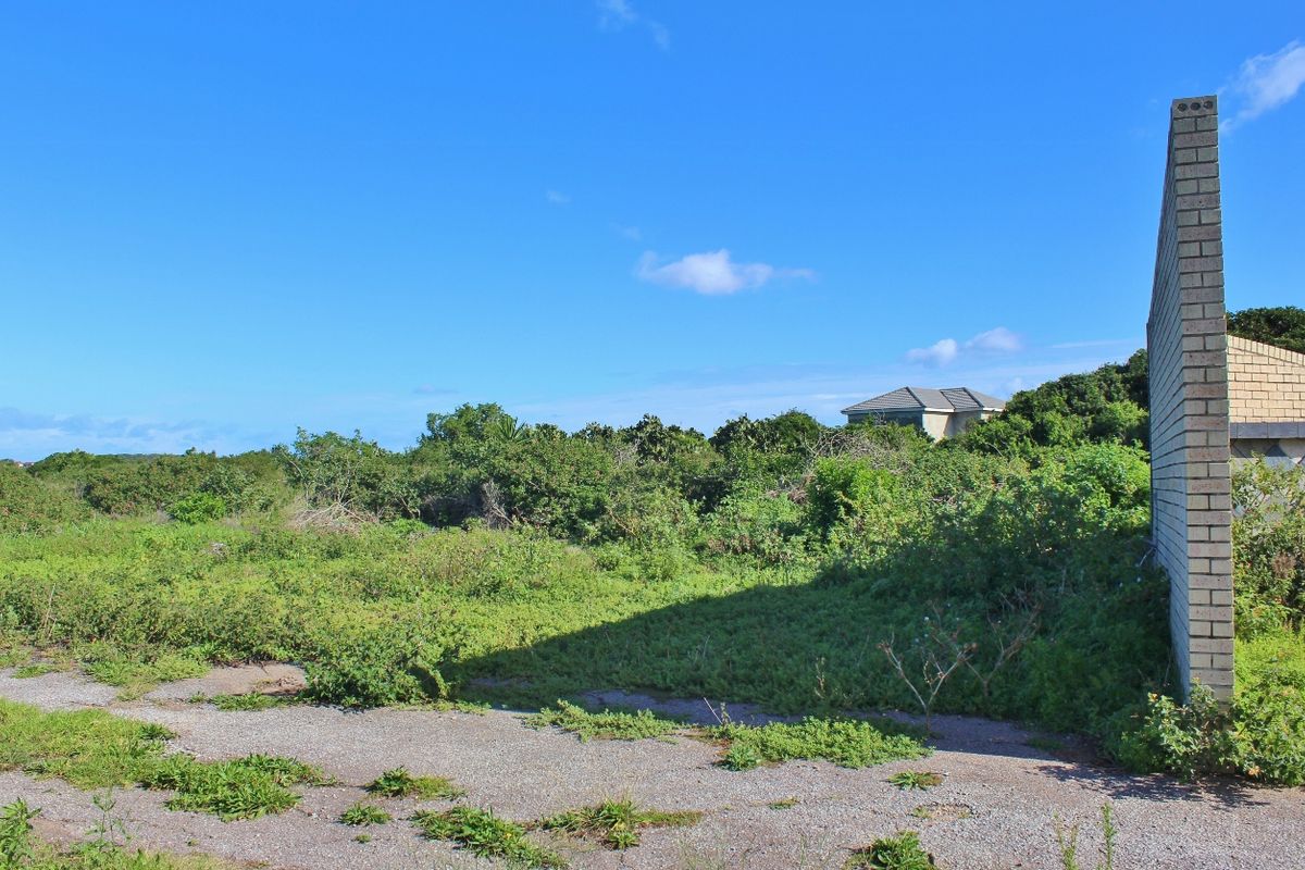 A vacant residential plot featuring a paved driveway and a partial brick boundary wall, surrounded by dense, overgrown natural vegetation.