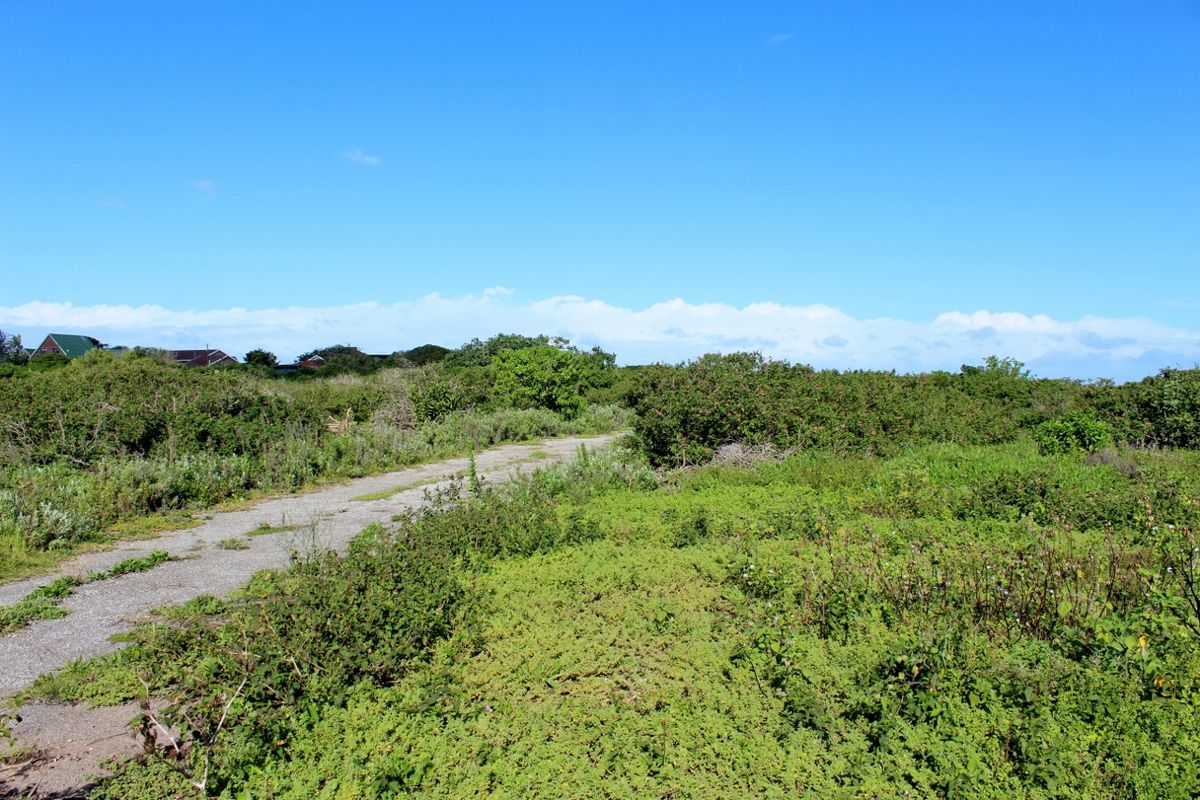 A view of a vacant residential plot featuring a gravel driveway and natural, overgrown vegetation under a clear blue sky.