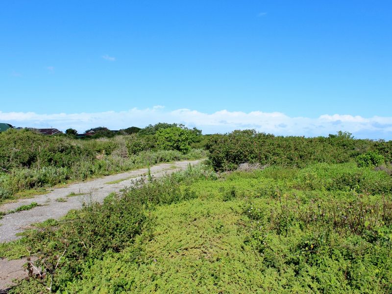 Build with Ease on This Level Plot in Port Alfred - Photo 3