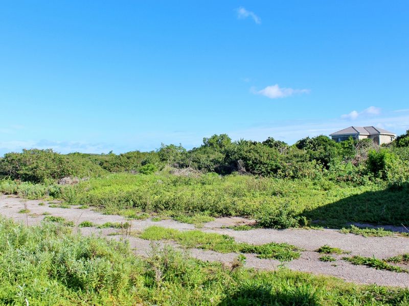 Build with Ease on This Level Plot in Port Alfred - Photo 10