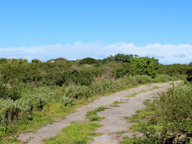 Build with Ease on This Level Plot in Port Alfred - Photo 9