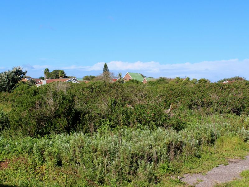 Build with Ease on This Level Plot in Port Alfred - Photo 7