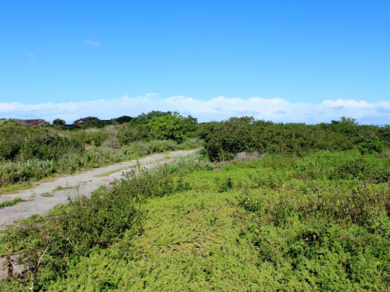 Build with Ease on This Level Plot in Port Alfred - Photo 6