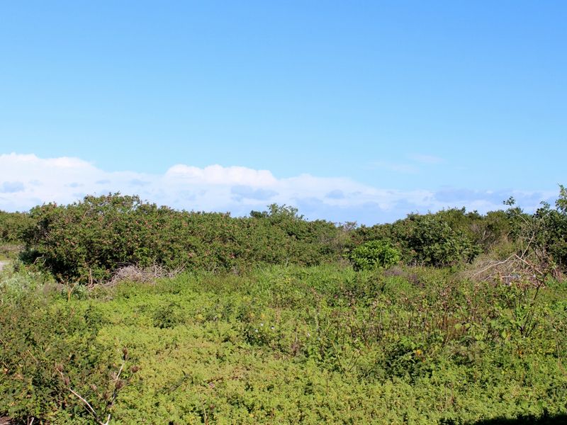Build with Ease on This Level Plot in Port Alfred - Photo 8
