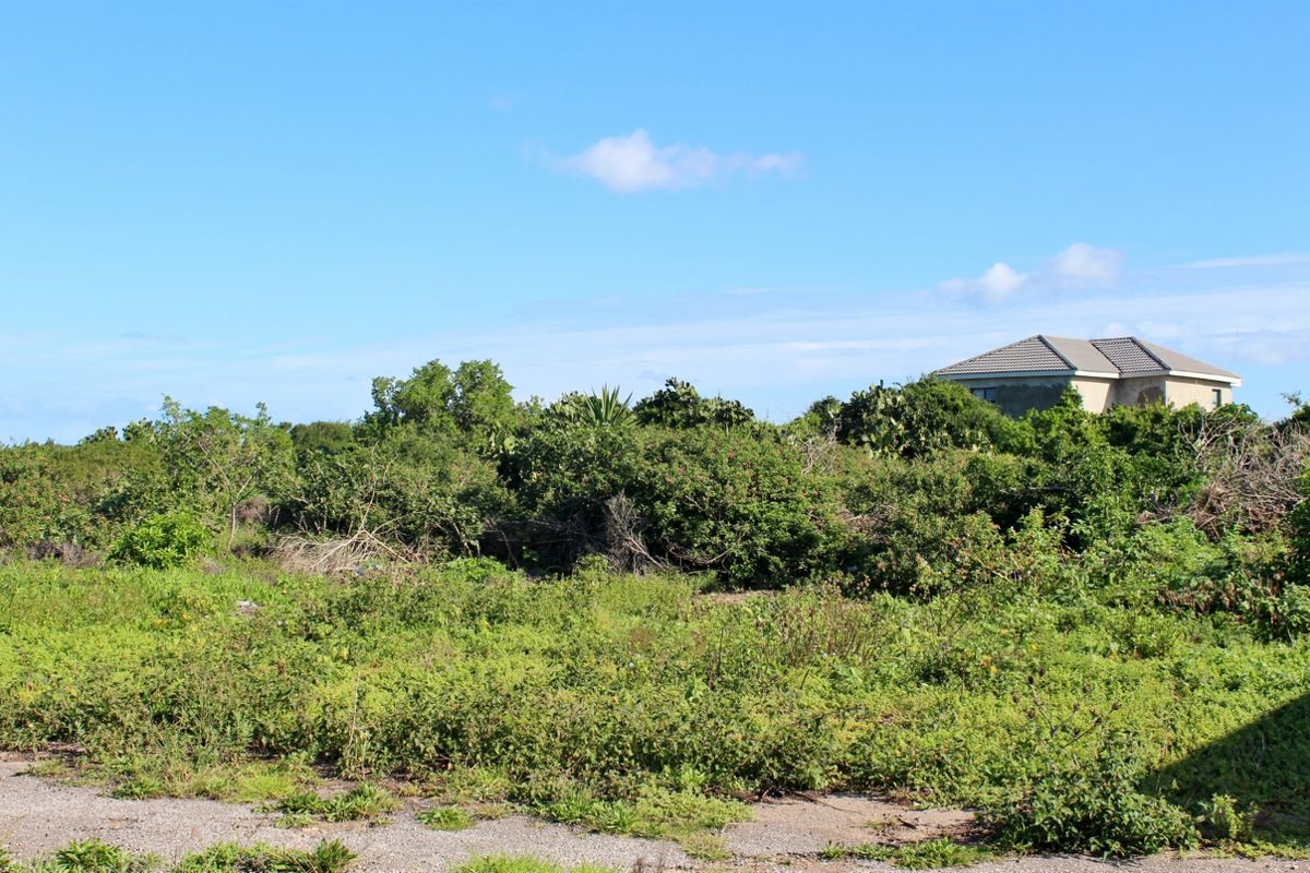 A view of a vacant residential plot featuring natural vegetation and shrubs, offering a blank canvas for future development.