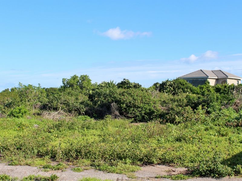 Build with Ease on This Level Plot in Port Alfred - Photo 5