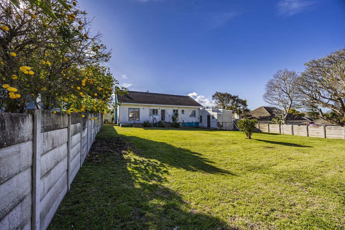 Spacious rear garden featuring a large lawn, mature citrus tree, and a precast concrete boundary wall, providing a private outdoor area.